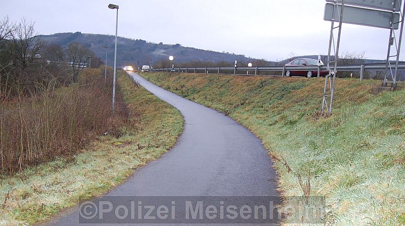 2016_02_05meisenheim_pm